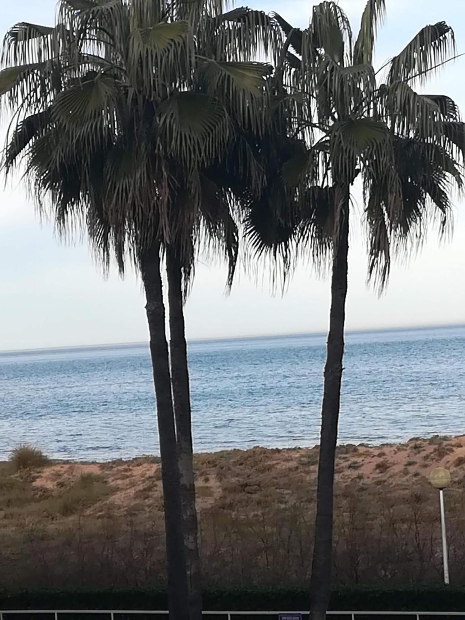 代穆斯Gandia Daimuz公寓 外观 照片
